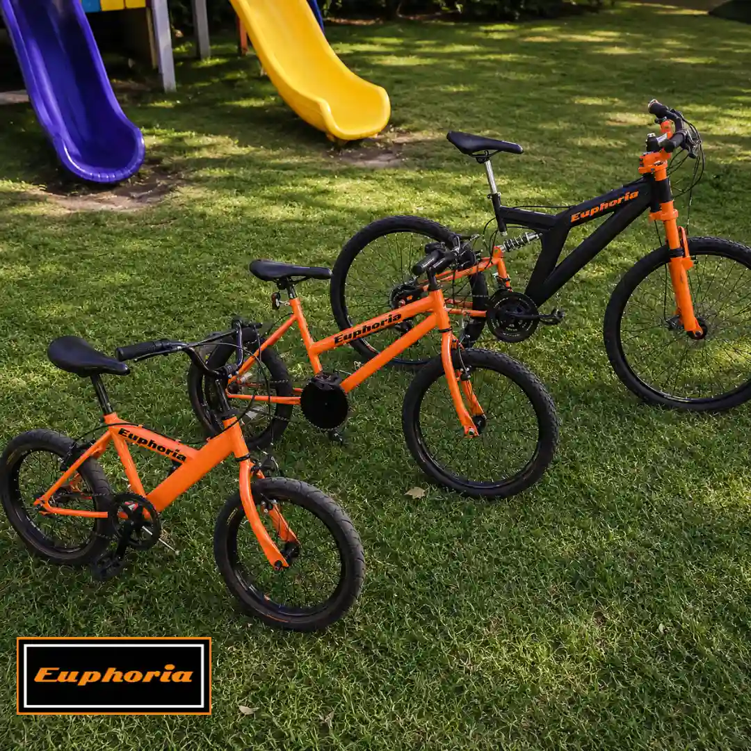 Familia de bicicletas